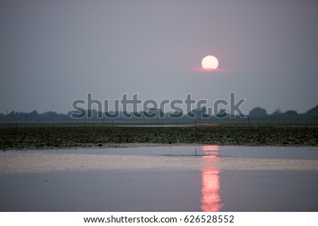 Breathtaking sunset in Danube Delta, Romania, in a summer day