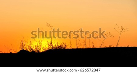 Beautiful and bright evening sunset in the desert
