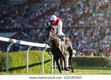 Horse races, jockey and his horse goes towards finish line. Traditional European sport. Royalty-Free Stock Photo #626589065