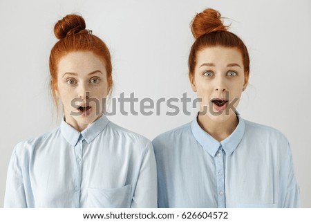 Studio shot of two sisters or friends looking alike with their identical blue shirts and same hairstyles looking at camera in full disbelief, shocked or surprised with some news, gossips or rumours Royalty-Free Stock Photo #626604572