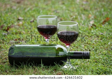 two glasses and bottle of red wine in green grass. Harvest time, picnic, fest theme.