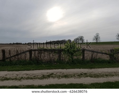 Rural Pasture