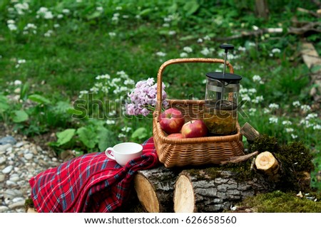 A picnic basket and tartan blanket on wooden frames .In a basket of herbal tea a bouquet of hyacinths apples Spring time of year.