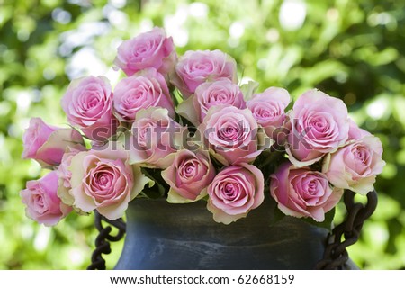 Beautiful pink roses in a antique vase