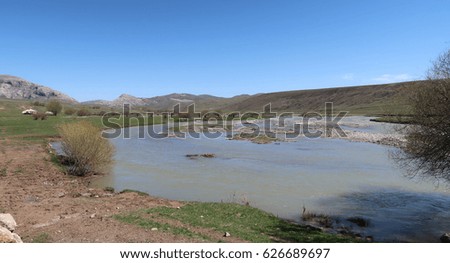 River in the mountains, early spring