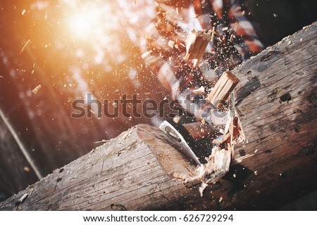 Close-up, lumberjack cuts a big tree in the wood with a sharp ax, the chips splinter in different directions Royalty-Free Stock Photo #626729294
