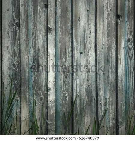Old fence of boards with grass