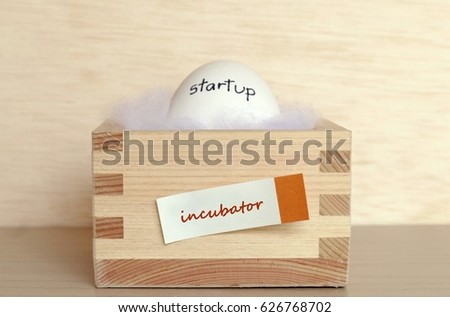 focus on the word on the box - Incubator - the concept of financing the startup company which represent by egg with the startup word on the shell Royalty-Free Stock Photo #626768702