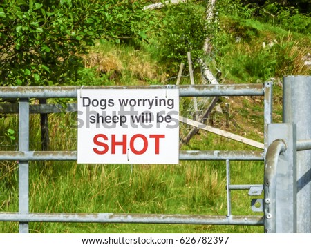 Sign Dogs worrying sheep will be shot