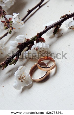 macro of wedding rings on dark wood in day light