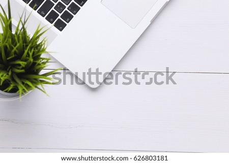 Modern white laptop computer with plant