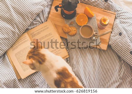 Breakfast served in bed - boiled egg, fresh orange, cookies and coffee, while reading a book and cuddling a cat. Selective focus. Toned picture