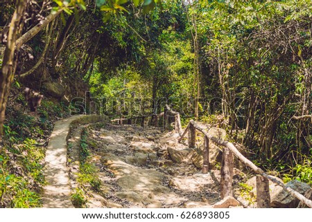Rocky road among the forest in the tropics