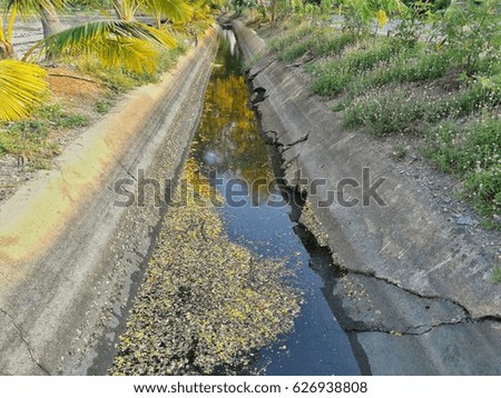 Canal water