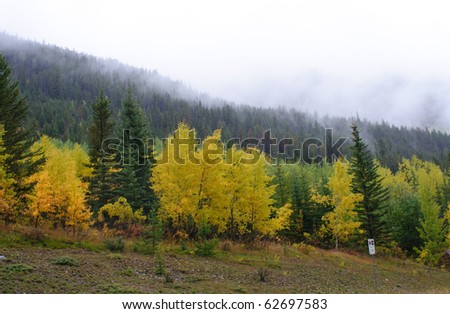 Beautiful autumn mountain scenes from Banff and Jasper National Park Alberta Canada
