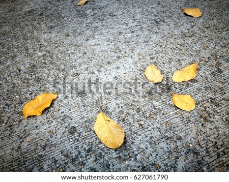 The fallen yellow leaves in the autumn are lying on the concrete floor