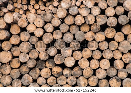 Stack of construction raw timber in sawmill yard