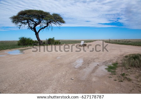 Etosha national park Namibia