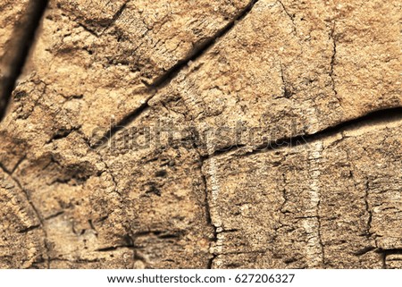 Closeup of warm flat wood texture with cracks