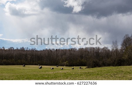 bright fresh fields in country under blue sky with white storm clouds