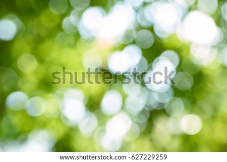 Bokeh abstract, The blur of green leaf and light. Royalty-Free Stock Photo #627229259