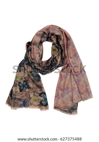 Scarf patterned butterfly isolate on a white background