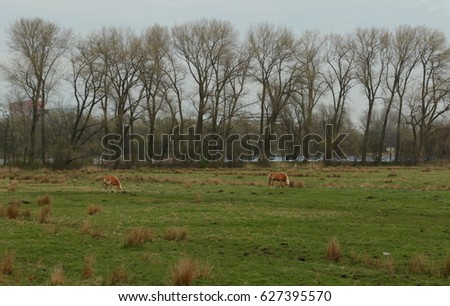 A walk in the Amsterdam Forest on a first warm spring day Royalty-Free Stock Photo #627395570