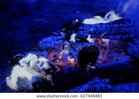 Blue charcoal, pale flames, firewood flames, pine nose leaves,strong flames, flickering flames, flame background, At Mitsuan, Hanyu City, Saitama, Japan,