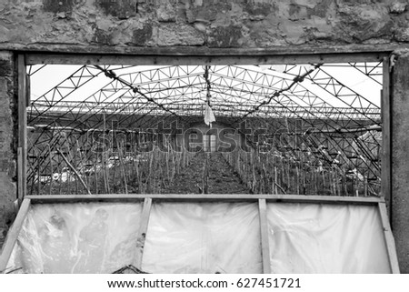 Abandoned greenhouses. Destroyed greenhouse of a ruined hothouse economy. Abandoned greenhouse. Frame greenhouses without glass and film.