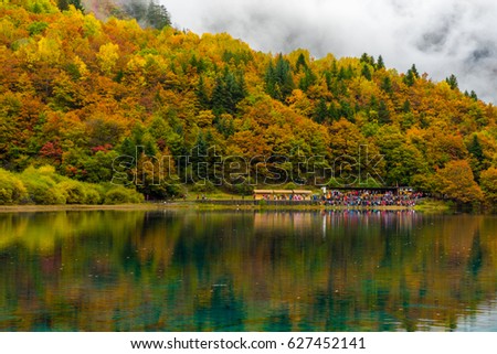 Beautiful autumn in nature at Five Flower Lake, Jiuzhaigou National Park, China. Reflection in water and colorful leaves background.