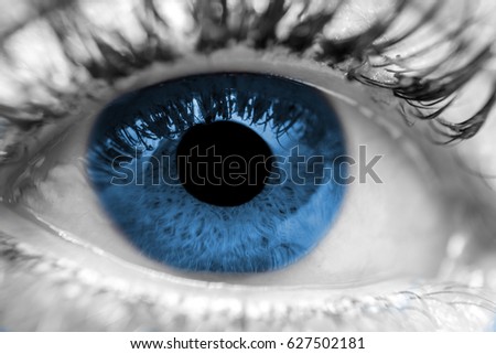 Beautiful blue human eye very close-up macro photography