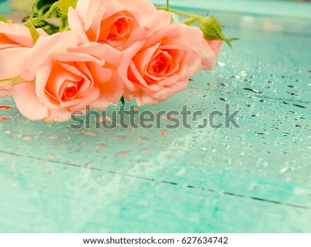 very gentle romantic rose close on a blue background, drops of dew, the concept of love and romance, space for text