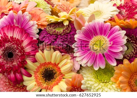 Background of multicolored bright gerberas, horizontal