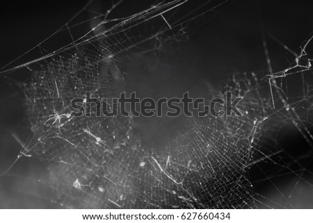 A black and white  spiderweb textured wallpaper. 