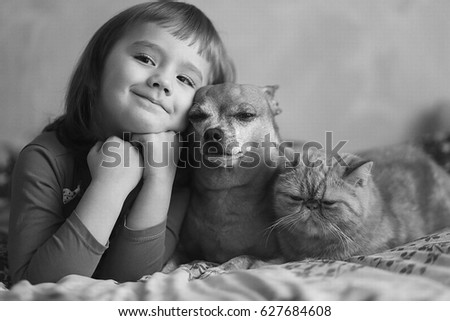 girl with a cat and a dog Royalty-Free Stock Photo #627684608