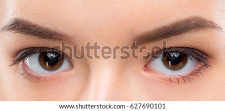 Close up image of female brown eyes Royalty-Free Stock Photo #627690101