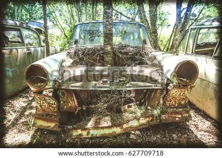 Vintage feeling picture of cars turned into wrecks deep in swedish forests. The nature is slowly taking control.