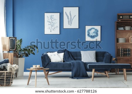 Old fashioned blue lounge with wooden decoration and navy sofa
