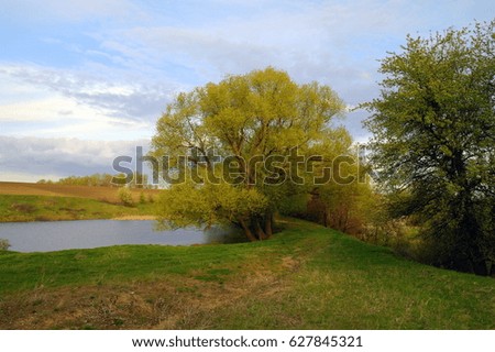 Spring landscape, pond, river, trees