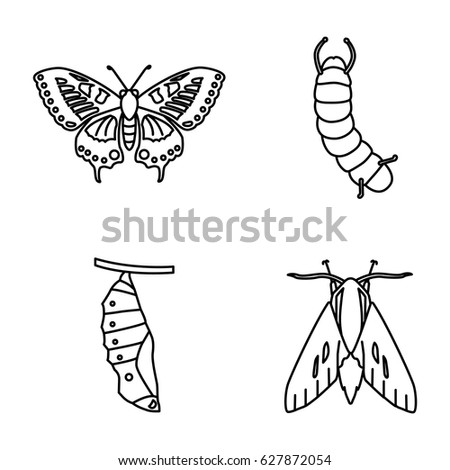 Insects vector icons