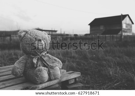 Teddy bear in countryside. Black and white toned image
