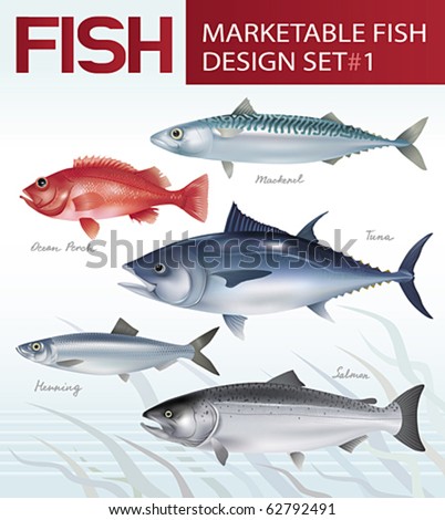 Marketable fish image design set 1. Vector illustration. Royalty-Free Stock Photo #62792491