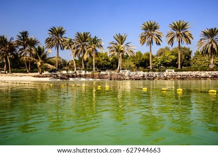 Hot beach day in Dubai in green clean wate? an? palms view. Background picture