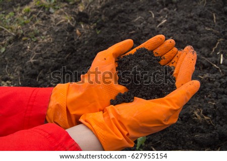 hands, who wears orange rubber gloves with the soil background Royalty-Free Stock Photo #627955154