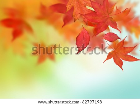 A beautiful autumn background with falling leaves.