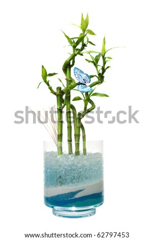 Glass jar with bamboo isolated on white background.