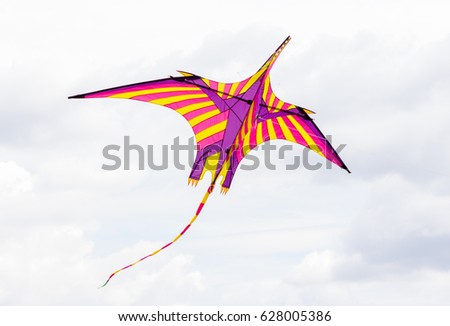 a coloured kite flies in the air