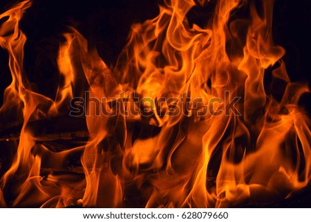 Beautiful fire flames on a black background. Royalty-Free Stock Photo #628079660
