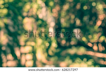 image of blurred green bokeh  in garden on day time for background usage . (vintage tone)