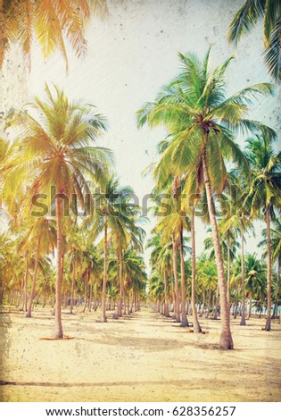 Coconut Palm trees on sandy beach- - retro styled picture